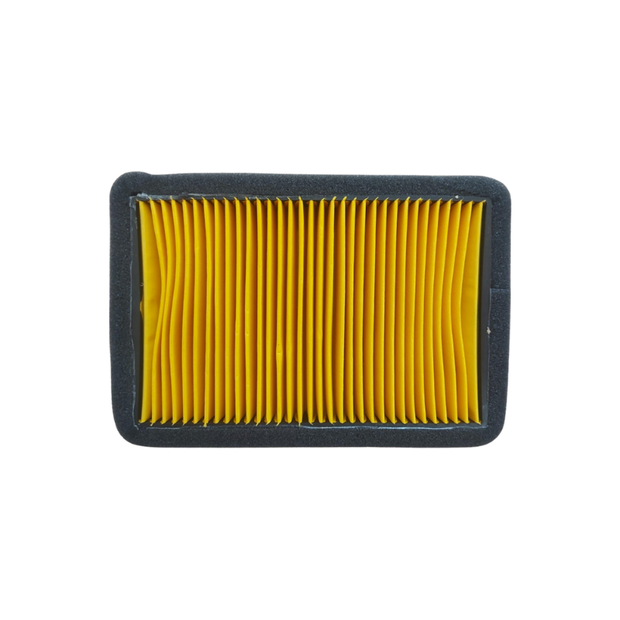 FILTRO AIRE PROTECH 13992 BENELLI TNT-150